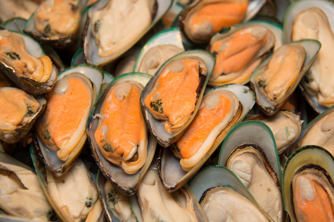 Mussels Half Shell(M) 907G