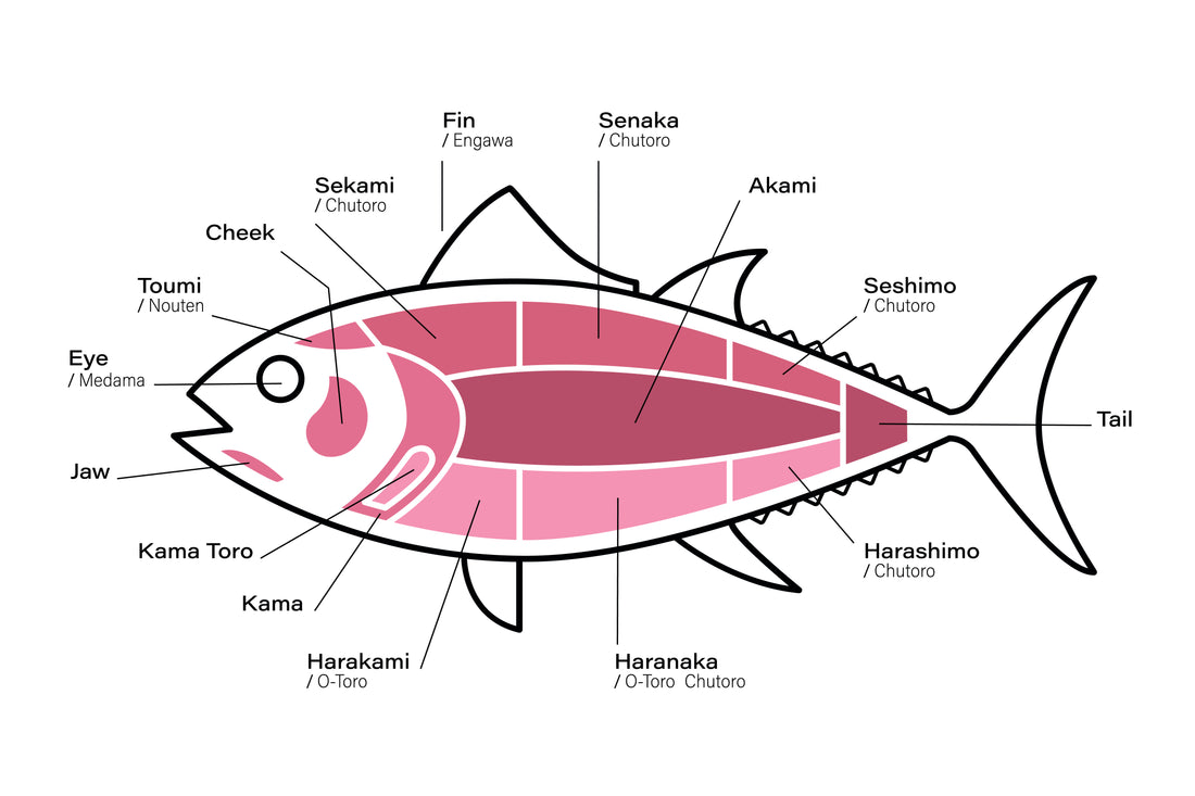 Super Frozen Northern Bluefin Tuna Akami 365G+