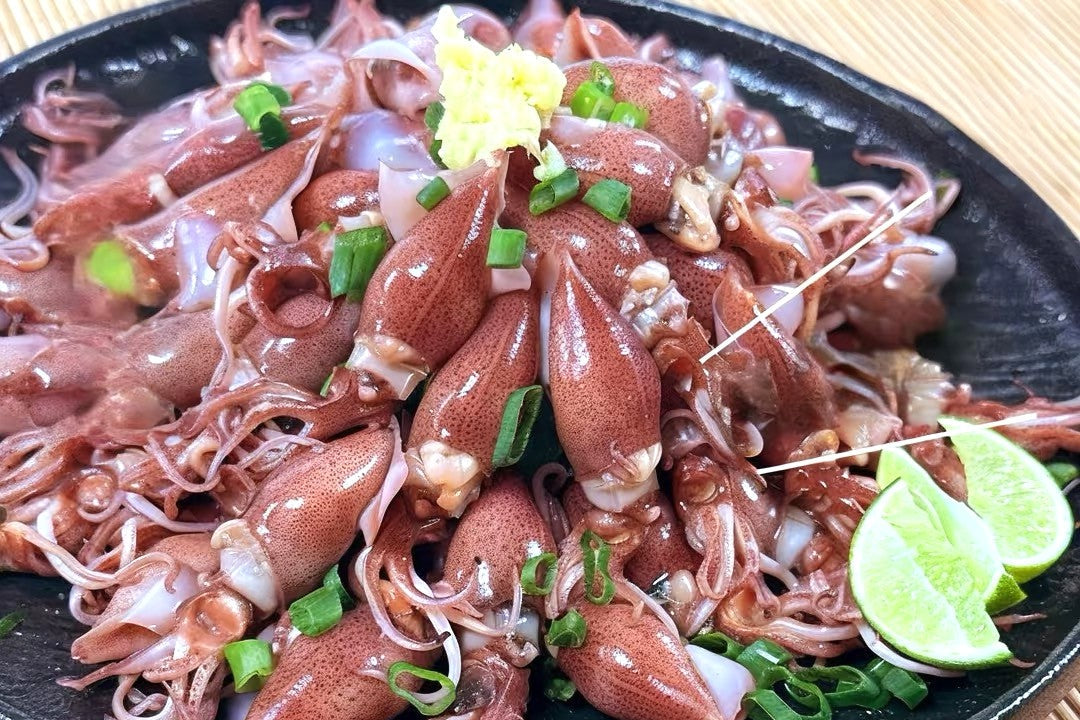 Japanese Fluorescent Squid 340G